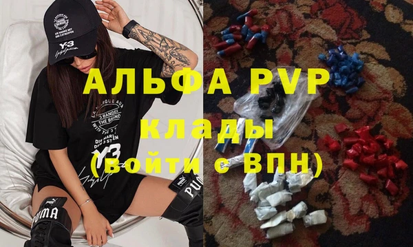 ПСИЛОЦИБИНОВЫЕ ГРИБЫ Каменка