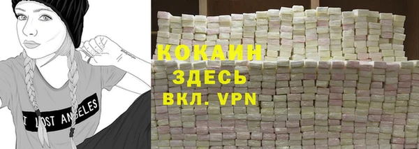 ПСИЛОЦИБИНОВЫЕ ГРИБЫ Каменка