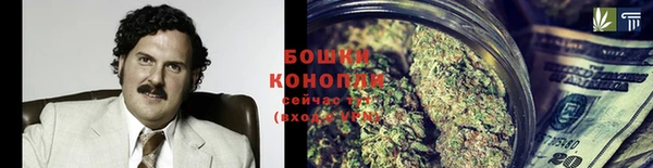 ПСИЛОЦИБИНОВЫЕ ГРИБЫ Каменка