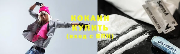 ПСИЛОЦИБИНОВЫЕ ГРИБЫ Каменка