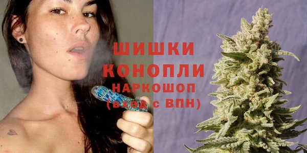 бошки Каменногорск