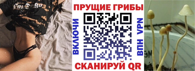 Псилоцибиновые грибы Magic Shrooms  Купить  Покачи 