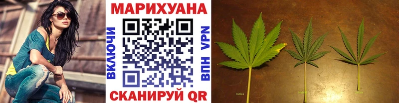 Купить где  Покачи  Бошки марихуана сатива 